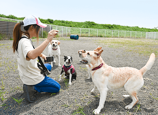 クラブ概要