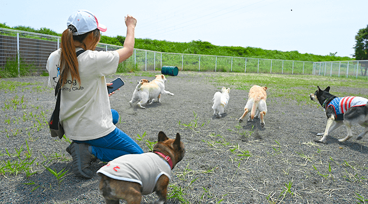 わんちゃんも飼い主様も楽しめるドッグクラブ